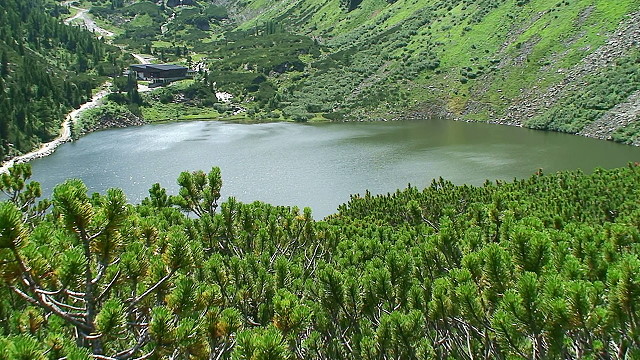 gruensee