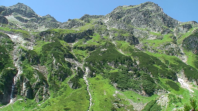 gruensee